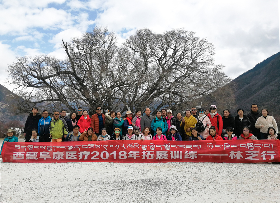 西藏阜康醫(yī)療2018年拓展訓(xùn)練——增強(qiáng)團(tuán)隊(duì)凝聚力、提升團(tuán)隊(duì)協(xié)作能力，更好地為患者服務(wù)