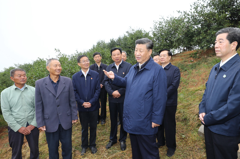 　　9月16日至18日，中共中央總書記、國家主席、中央軍委主席習(xí)近平在河南考察。這是17日上午，習(xí)近平來到信陽市光山縣槐店鄉(xiāng)司馬光油茶園，同正在勞作的村民和管理人員交流。 新華社記者 鞠鵬 攝